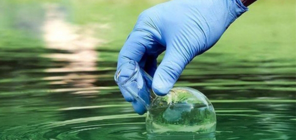 Моніторингові дослідження води у відкритих водоймах